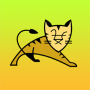 Tomcat asustor NAS App