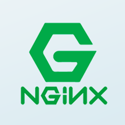 Nginx asustor NAS App